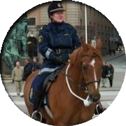 Ulla-Carin polis